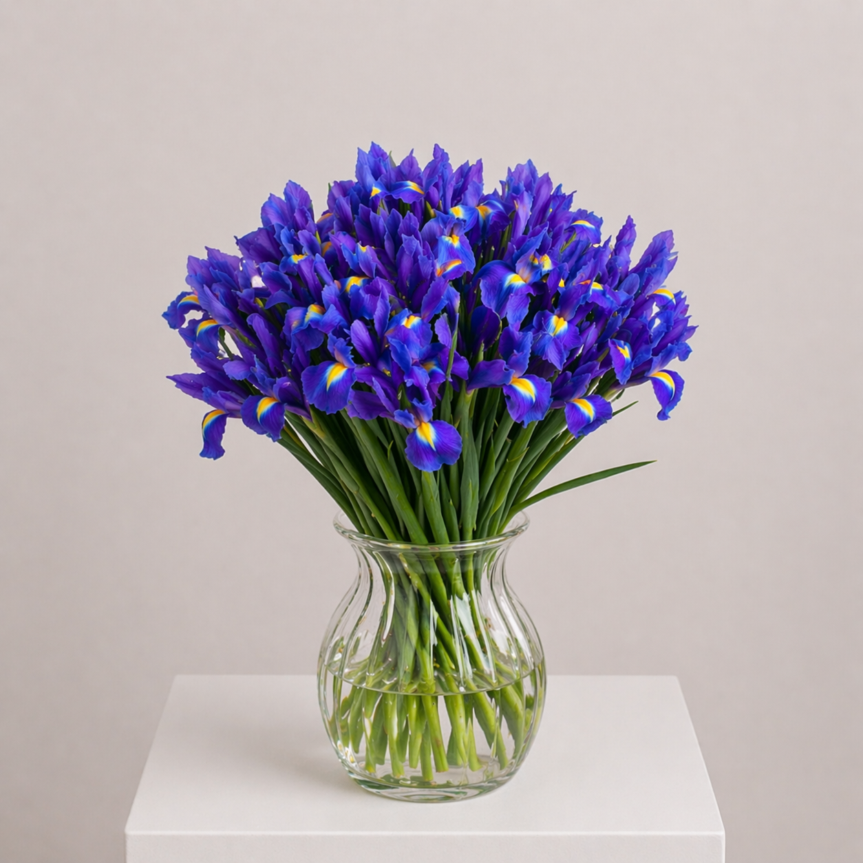 Blau-violetter Blumenstrauß mit Schwertlilien und weißen Blüten