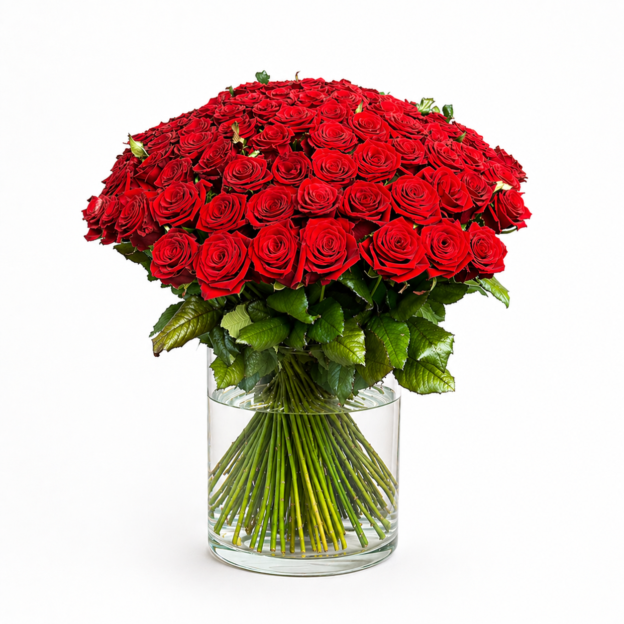 Großer Rosenstrauß mit 101 roten Premium-Rosen
