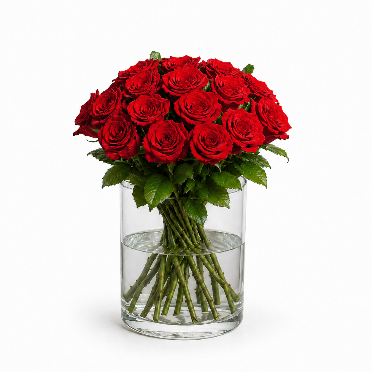 Klassischer Rosenstrauß mit 21 roten Premium-Rosen