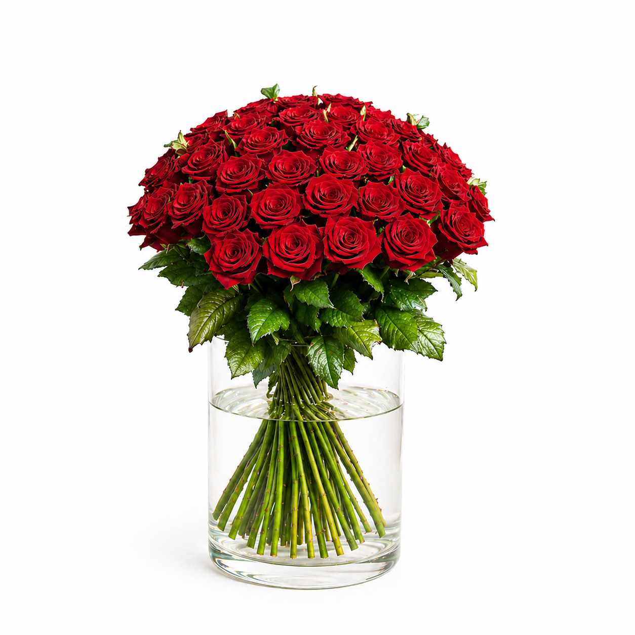 Eleganter Rosenstrauß mit 51 roten Premium-Rosen